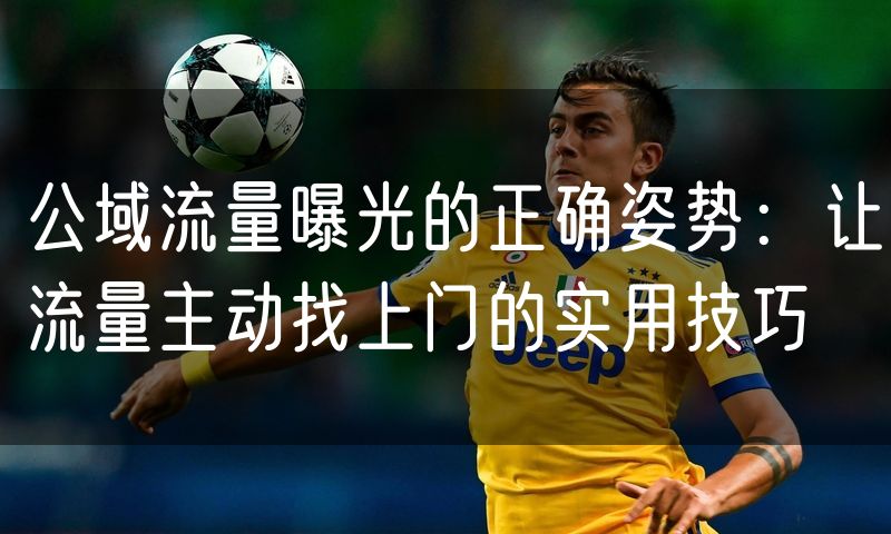 公域流量曝光的正确姿势：让流量主动找上门的实用技巧