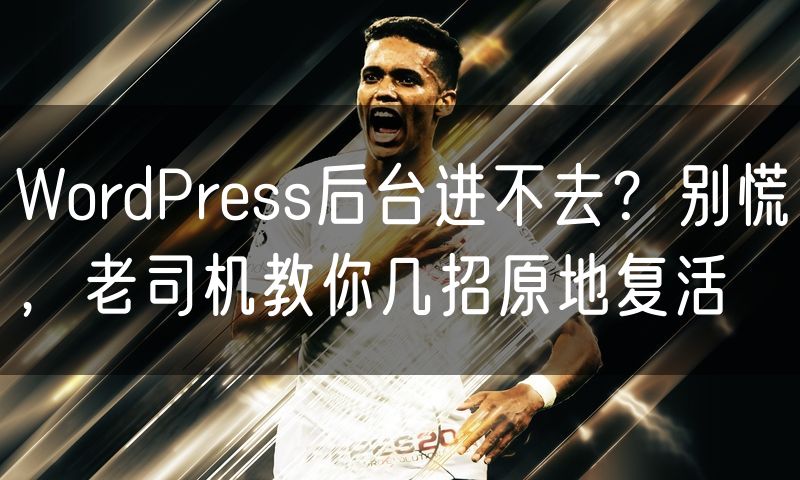 WordPress后台进不去?别慌,老司机教你几招原地复活