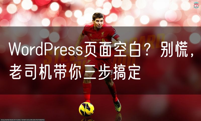 WordPress页面空白?别慌,老司机带你三步搞定