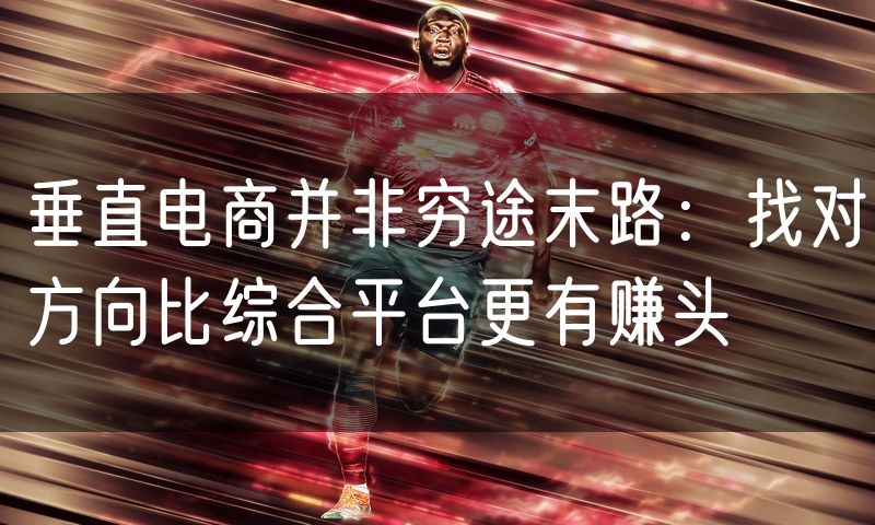垂直电商并非穷途末路:找对方向比综合平台更有赚头(0)