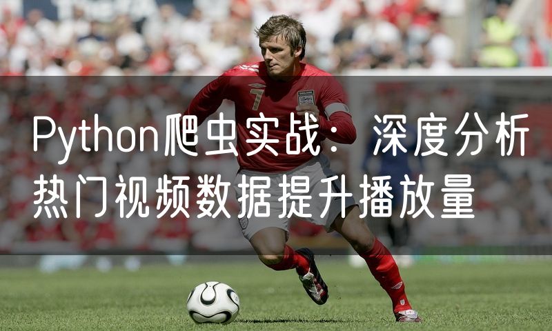 Python爬虫实战：深度分析热门视频数据提升播放量