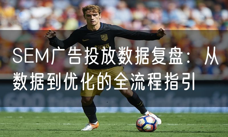 SEM广告投放数据复盘:从数据到优化的全流程指引(0)