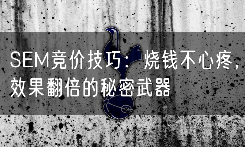 SEM竞价技巧：烧钱不心疼，效果翻倍的秘密武器(7)