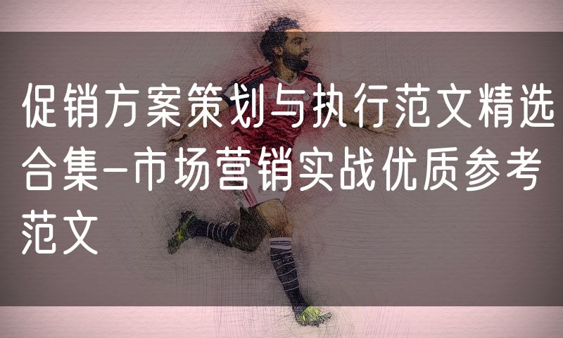促销方案策划与执行范文精选合集-市场营销实战优质参考范文