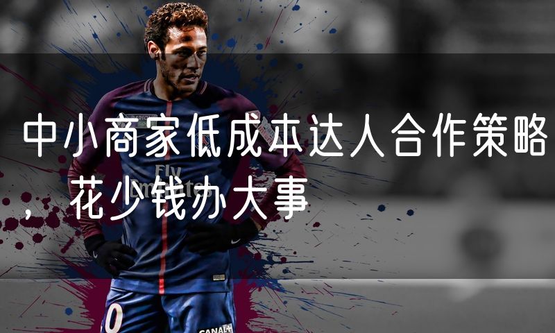 中小商家低成本达人合作策略，花少钱办大事(0)