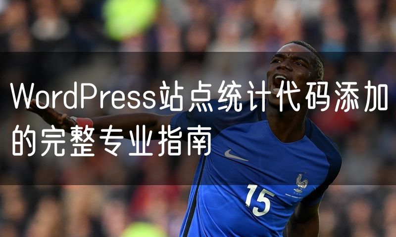 WordPress站点统计代码添加的完整专业指南