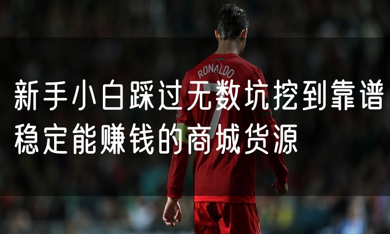 新手小白踩过无数坑挖到靠谱稳定能赚钱的商城货源