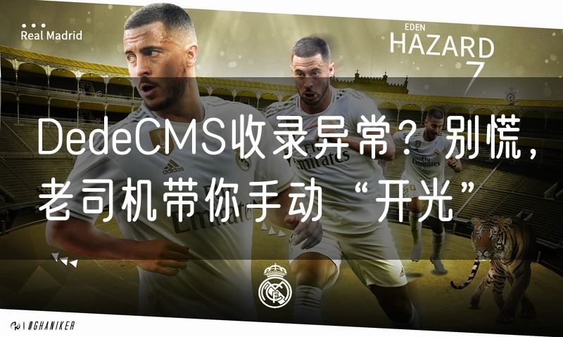 DedeCMS收录异常?别慌,老司机带你手动“开光”(14)