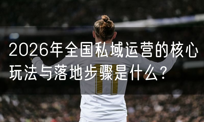 2026年全国私域运营的核心玩法与落地步骤是什么?(0)