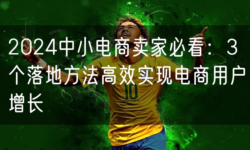 2024中小电商卖家必看：3个落地方法高效实现电商用户增长