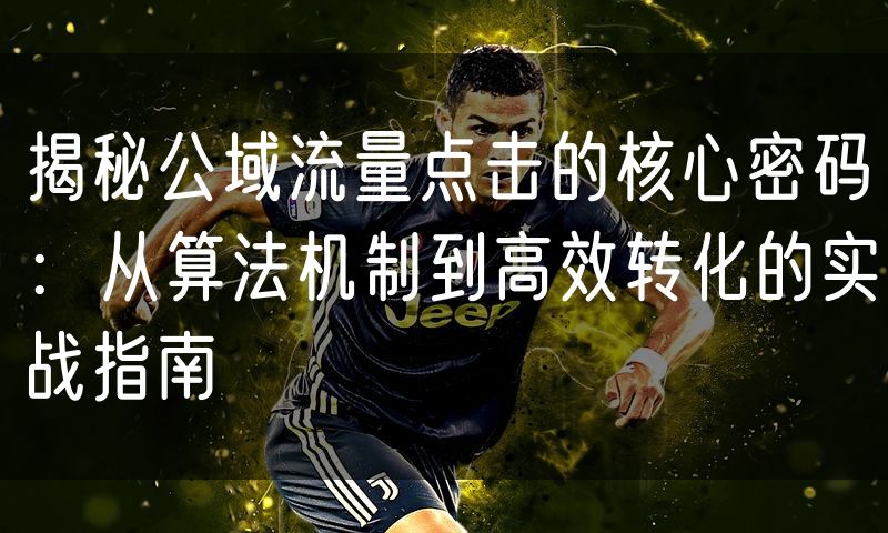 揭秘公域流量点击的核心密码：从算法机制到高效转化的实战指南