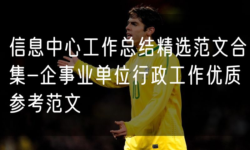 信息中心工作总结精选范文合集-企事业单位行政工作优质参考范文