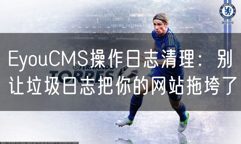 EyouCMS操作日志清理:别让垃圾日志把你的网站拖垮了(42)