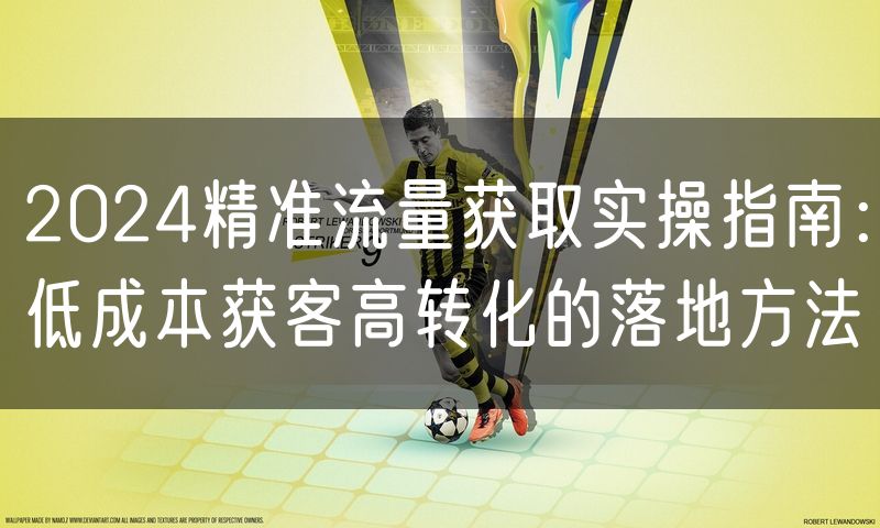 2024精准流量获取实操指南：低成本获客高转化的落地方法