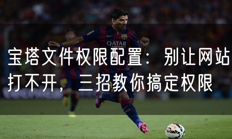 宝塔文件权限配置：别让网站打不开，三招教你搞定权限
