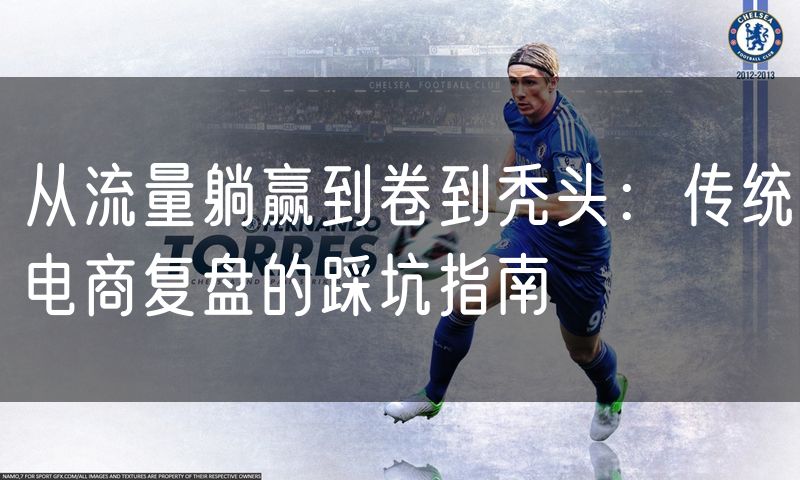 从流量躺赢到卷到秃头：传统电商复盘的踩坑指南(4)