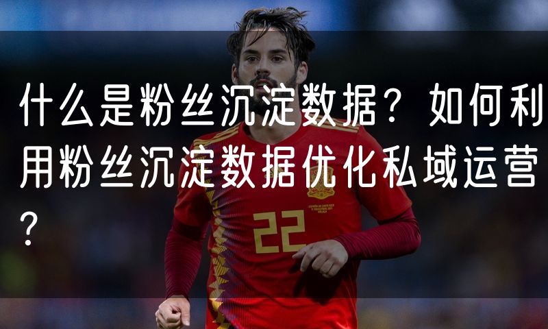 什么是粉丝沉淀数据?如何利用粉丝沉淀数据优化私域运营?