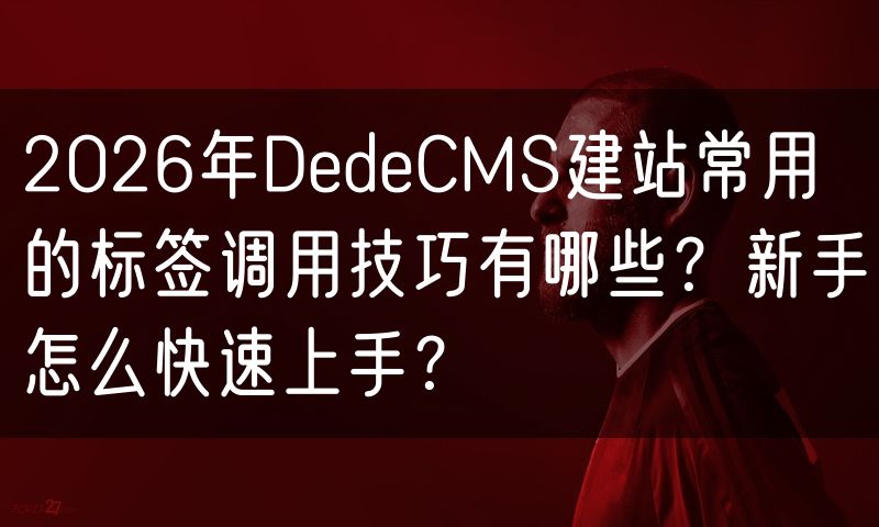 2026年DedeCMS建站常用的标签调用技巧有哪些？新手怎么快速上手？(0)