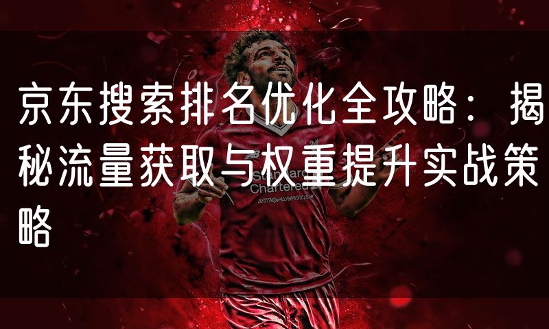 京东搜索排名优化全攻略：揭秘流量获取与权重提升实战策略