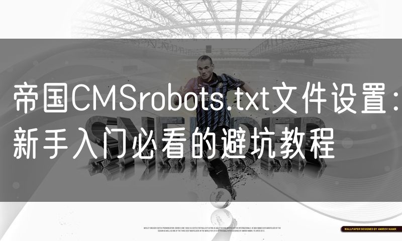 帝国CMSrobots.txt文件设置:新手入门必看的避坑教程