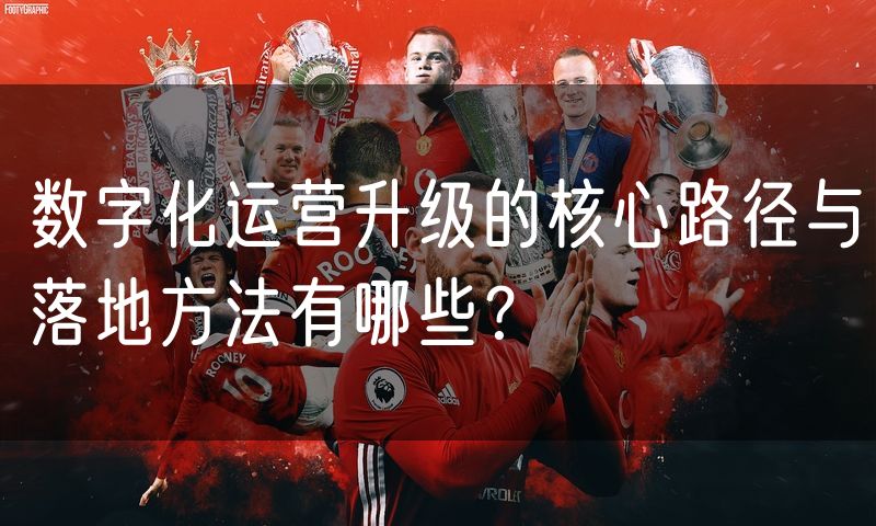 数字化运营升级的核心路径与落地方法有哪些?(8)