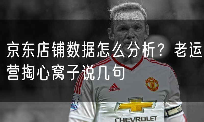 京东店铺数据怎么分析?老运营掏心窝子说几句
