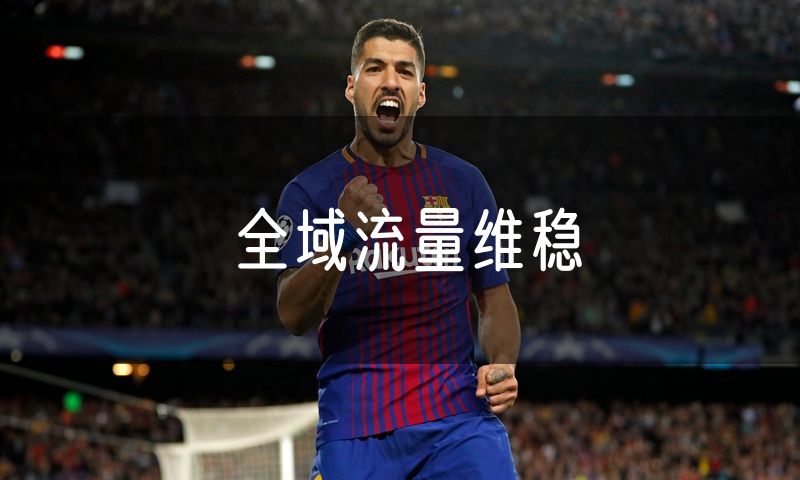 全域流量维稳