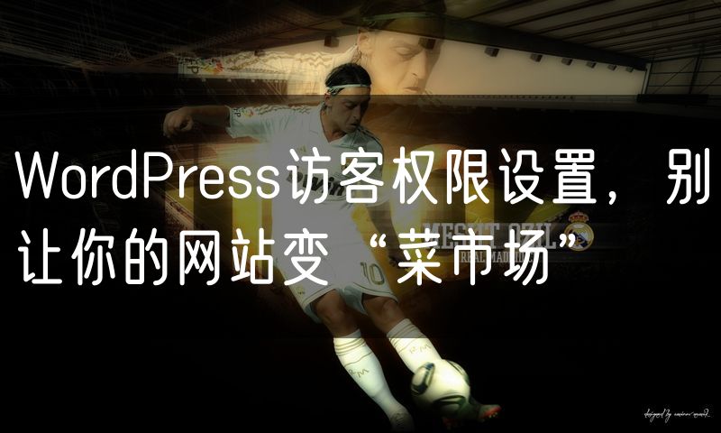 WordPress访客权限设置，别让你的网站变“菜市场”