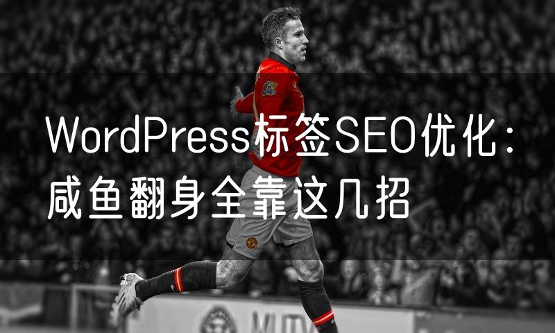 WordPress标签SEO优化:咸鱼翻身全靠这几招