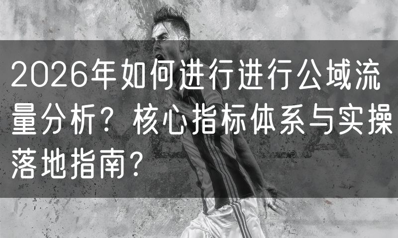 2026年如何进行进行公域流量分析？核心指标体系与实操落地指南？