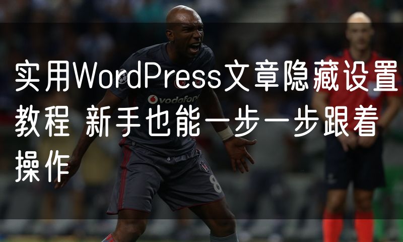 实用WordPress文章隐藏设置教程 新手也能一步一步跟着操作