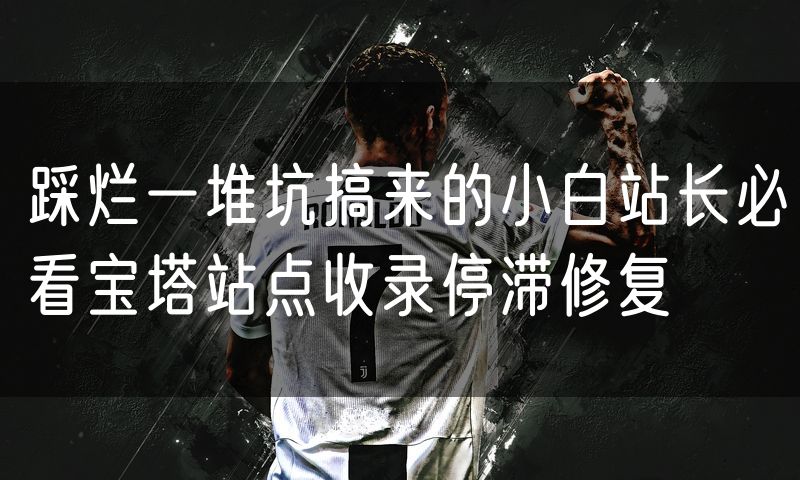 踩烂一堆坑搞来的小白站长必看宝塔站点收录停滞修复