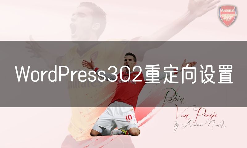 WordPress302重定向设置
