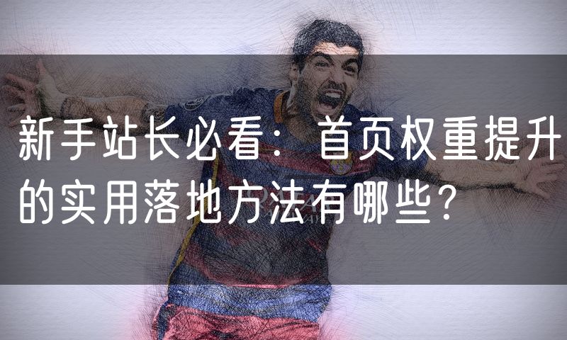 新手站长必看:首页权重提升的实用落地方法有哪些?(8)