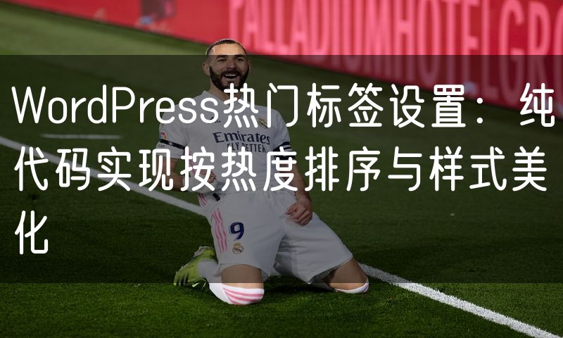 WordPress热门标签设置:纯代码实现按热度排序与样式美化