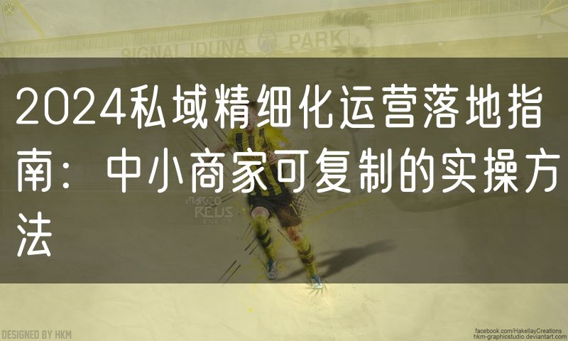 2024私域精细化运营落地指南:中小商家可复制的实操方法(3)