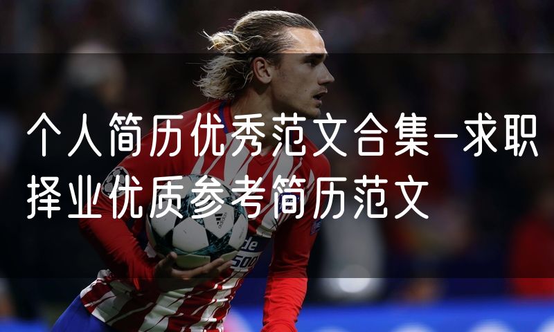 个人简历优秀范文合集-求职择业优质参考简历范文