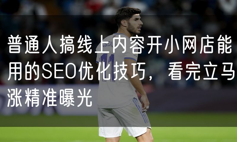 普通人搞线上内容开小网店能用的SEO优化技巧,看完立马涨精准曝光(0)