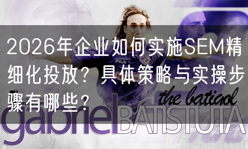 2026年企业如何实施SEM精细化投放?具体策略与实操步骤有哪些?(20)
