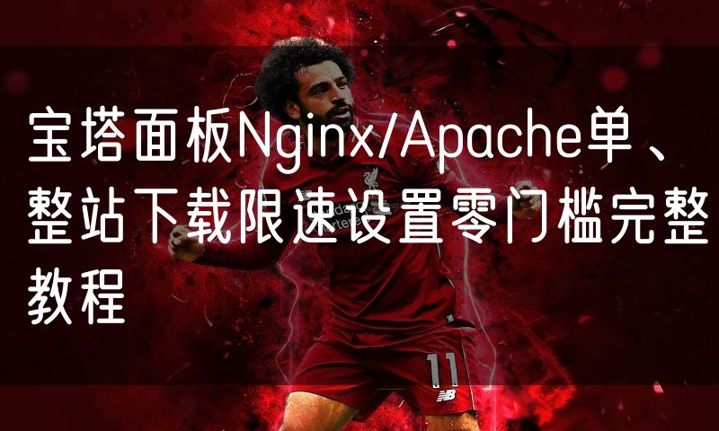 宝塔面板Nginx/Apache单、整站下载限速设置零门槛完整教程