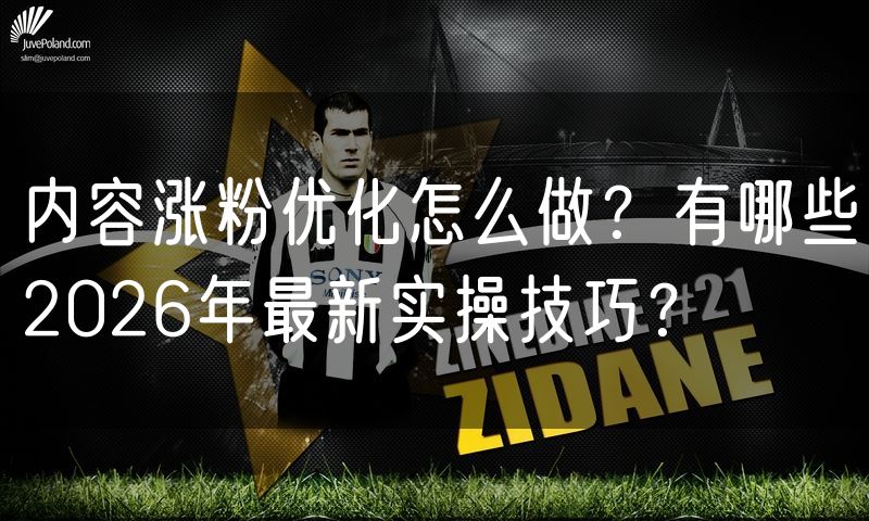 内容涨粉优化怎么做？有哪些2026年最新实操技巧？