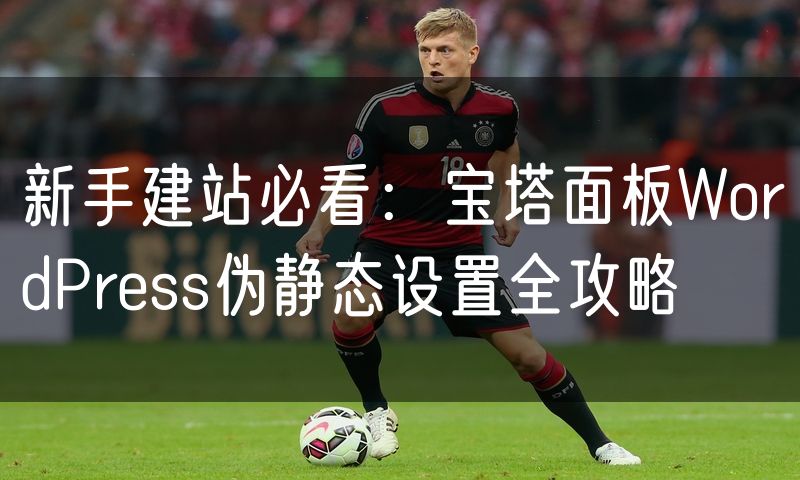 新手建站必看：宝塔面板WordPress伪静态设置全攻略