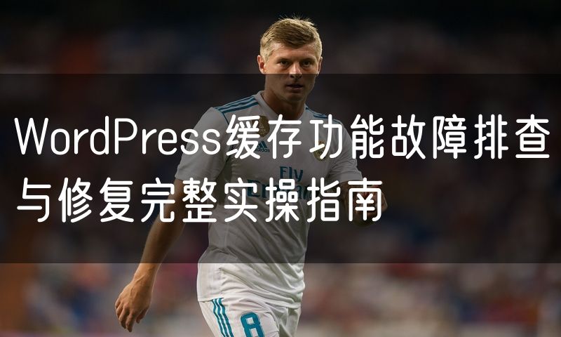 WordPress缓存功能故障排查与修复完整实操指南