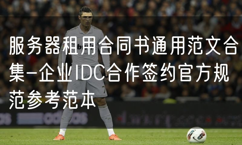 服务器租用合同书通用范文合集-企业IDC合作签约官方规范参考范本