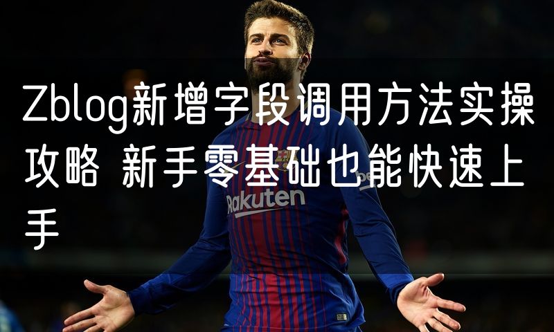 Zblog新增字段调用方法实操攻略 新手零基础也能快速上手
