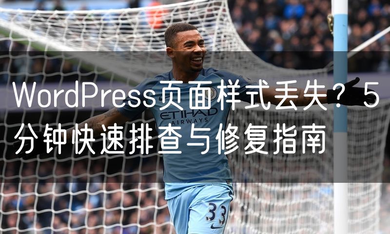 WordPress页面样式丢失?5分钟快速排查与修复指南