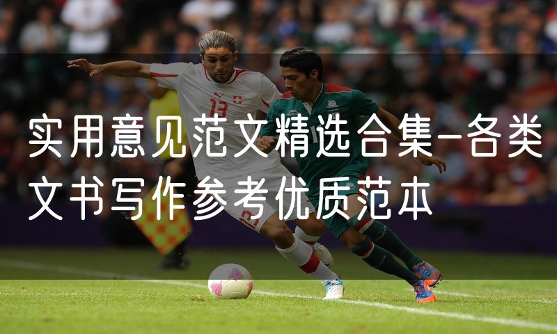 实用意见范文精选合集-各类文书写作参考优质范本