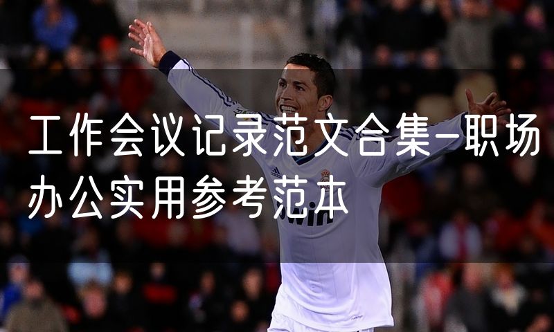 工作会议记录范文合集-职场办公实用参考范本
