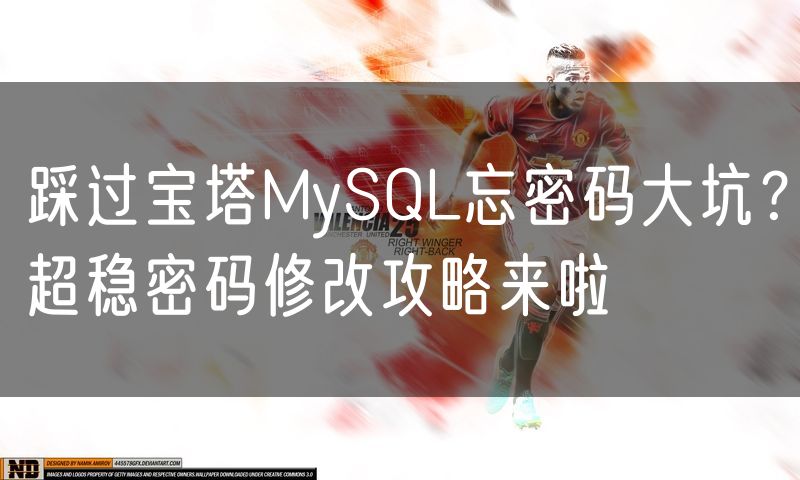 踩过宝塔MySQL忘密码大坑？超稳密码修改攻略来啦