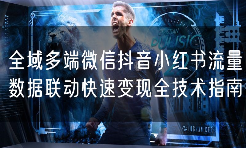 全域多端微信抖音小红书流量数据联动快速变现全技术指南